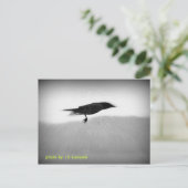 Carte Postale Corneille de discrétion (Debout devant)