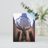 Carte Postale corneille de l'atlas (Debout devant)