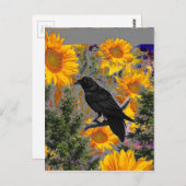 Carte Postale corneille noire & tournesols art (Devant / Derrière)