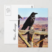 Carte Postale Corneilles Ravens Oiseaux Noirs (Devant / Derrière)