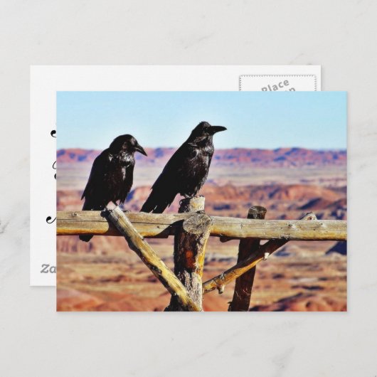 Carte Postale Corneilles Ravens Oiseaux Noirs (Devant / Derrière)