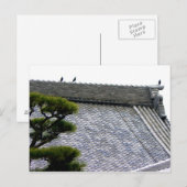 Carte Postale Corneilles sur le toit du temple (Devant / Derrière)