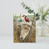 Carte Postale Cornelius et le mouton (Debout devant)