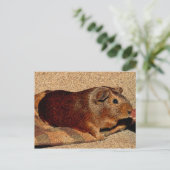 Carte Postale Corner Look Guinée Pig (Debout devant)