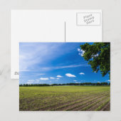 Carte Postale Cornfield au soleil (Devant / Derrière)