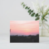 Carte postale Cornish Sunset (5983) (Debout devant)