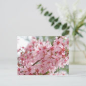 Carte Postale Cornouillers roses (Debout devant)
