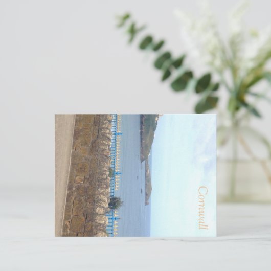 Carte postale Cornwall (Debout devant)