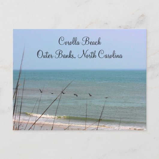 Carte postale Corolla Beach OBX (Devant)