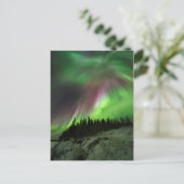 Carte Postale Corona Aurora (Debout devant)