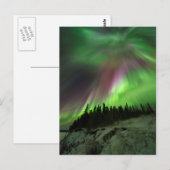 Carte Postale Corona Aurora (Devant / Derrière)