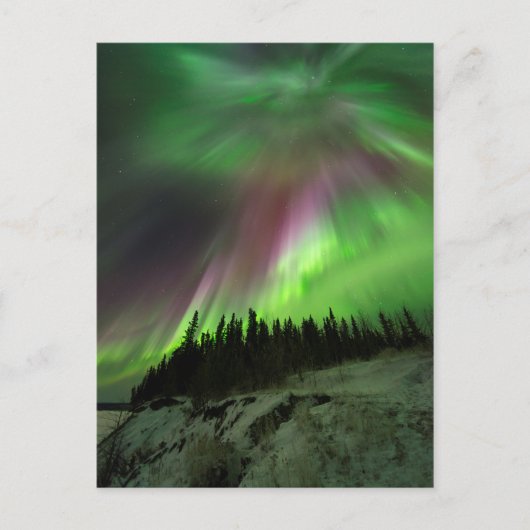 Carte Postale Corona Aurora (Devant)