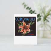 Carte Postale Corona Lily (Debout devant)