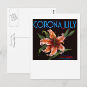Carte Postale Corona Lily (Devant / Derrière)