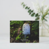 Carte postale Corpinus Comatus (Debout devant)