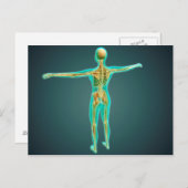 Carte Postale Corps humain montrant le système squelettique, art (Devant / Derrière)