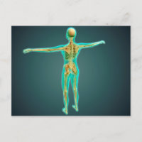 Corps humain montrant le système squelettique, art