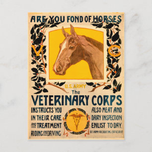 Carte Postale Corps vétérinaire