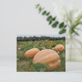 Carte Postale Correctif citrouille (Debout devant)