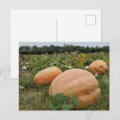 Carte Postale Correctif citrouille (Devant / Derrière)