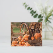 Carte Postale Correctif citrouille (Debout devant)