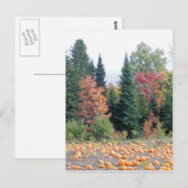 Carte Postale Correctif citrouille (Devant / Derrière)