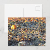 Carte Postale Correctif Citrouille figé (Devant / Derrière)