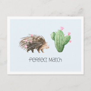 Carte Postale Correspondance parfaite   Cute Porcupine & Cactus 