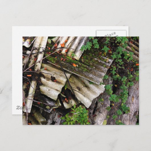 Carte Postale Corrugation (Devant / Derrière)