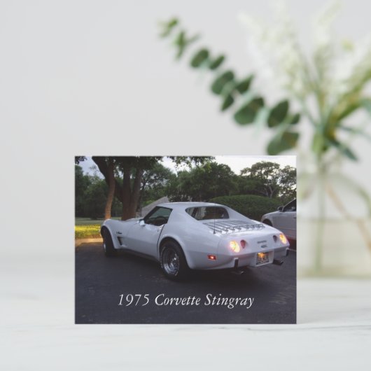 Carte postale Corvette 1975 (Debout devant)