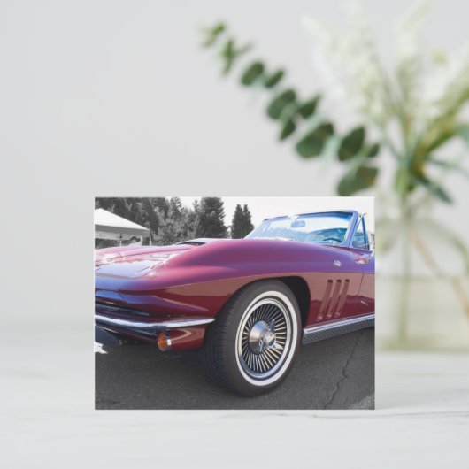 Carte Postale Corvette classique Stingray (Debout devant)