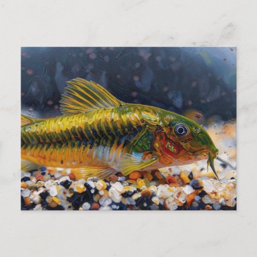 Carte Postale Corydoras poisson chat laser vert (Devant)