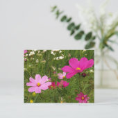 Carte Postale Cosmos (Debout devant)