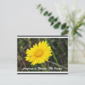 Carte postale Cosmos avec abeille (Debout devant)