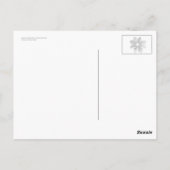 Carte Postale Cosmos bipinnatus (Dos)