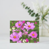 Carte Postale Cosmos [Carte postale] (Debout devant)