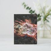 Carte Postale Cosmos colorés (Debout devant)