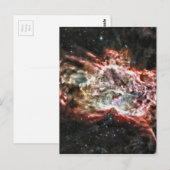 Carte Postale Cosmos colorés (Devant / Derrière)