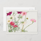 Carte Postale Cosmos par Tanigami Konan (Devant / Derrière)