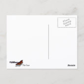 Carte Postale Cosmos rose Fleur sauvage Floral (Dos)