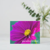 Carte postale Cosmos violet (Debout devant)