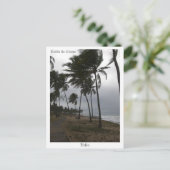 Carte postale Costa do Sauípe (Debout devant)