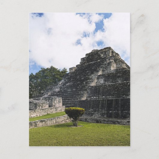 Carte Postale Costa Maya Chacchoben Ruines Maya (Devant)