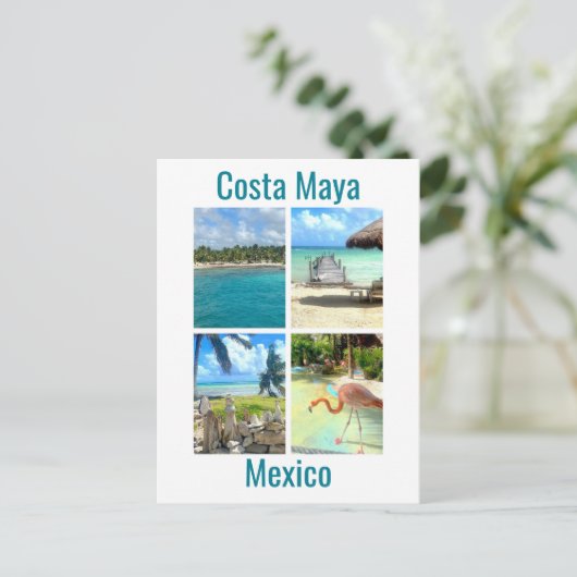 Carte Postale Costa Maya, Mexique (Debout devant)