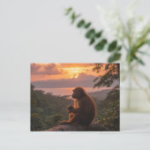 Carte Postale Costa Rica (Debout devant)