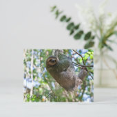 Carte Postale Costa Rica (Debout devant)