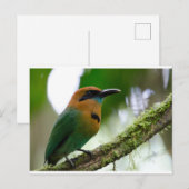 Carte postale Costa Rica (Devant / Derrière)