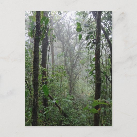Carte Postale costa rica (Devant)