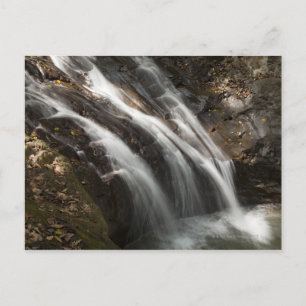 Carte Postale Costa Rica, Cascade à écoulement rapide
