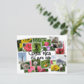 Carte Postale Costa Rica es Pura Vida ! (Debout devant)